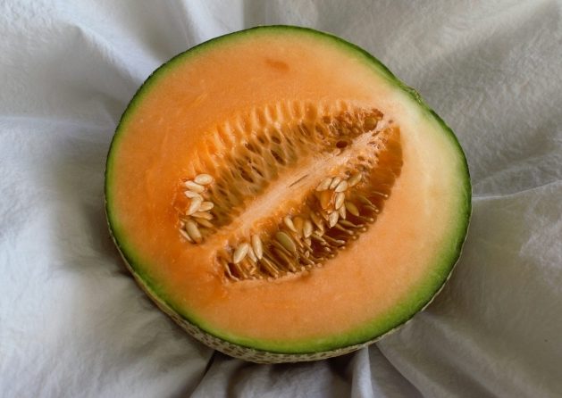 Rock melon cut Rock melon cut