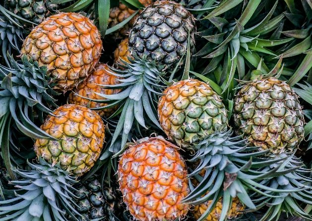 pineapples pineapples