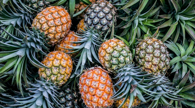 pineapples